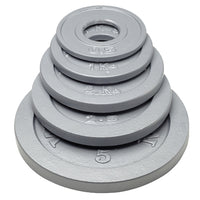 Werksan Metal Training Discs