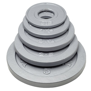 Werksan Metal Training Discs
