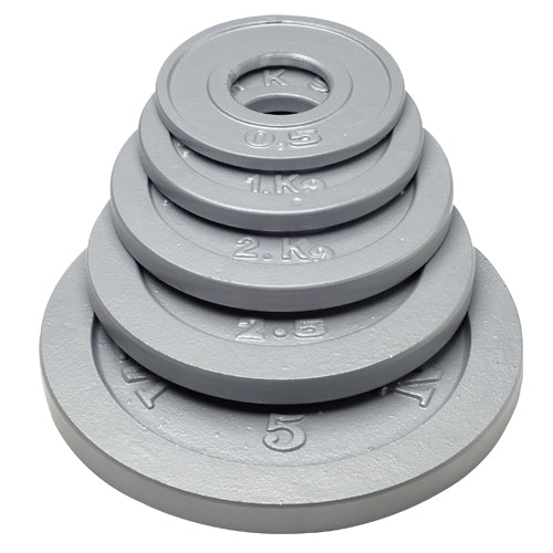 Werksan Metal Training Discs