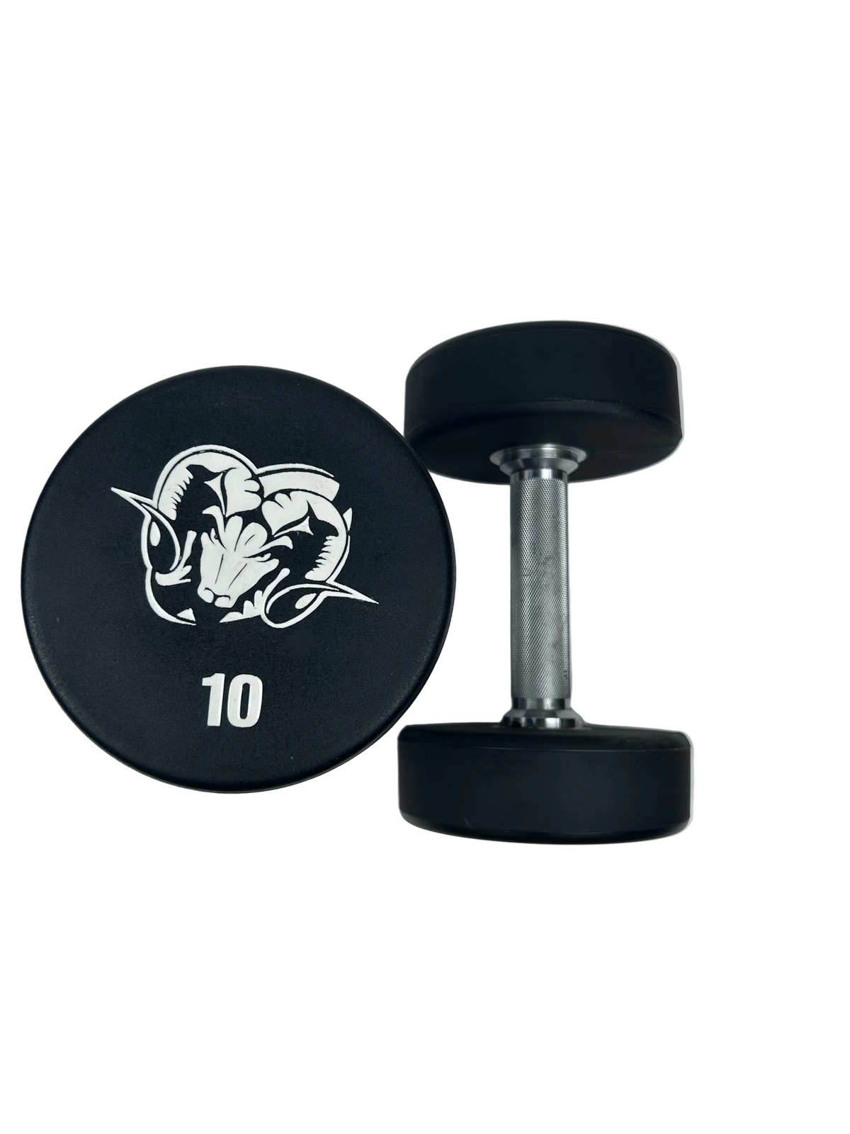 10kg custom Branded PU dumbbell (Pair)