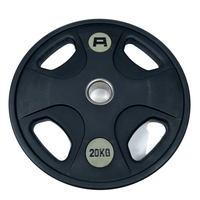Olympic Rubber Grip Plates (Pair)