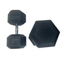 APEX Hex Dumbbells (pair)