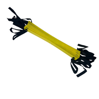 Agility Ladder (Length: 8m)