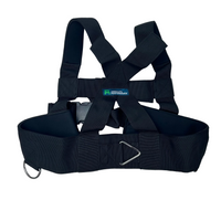 APEX Functional training harness