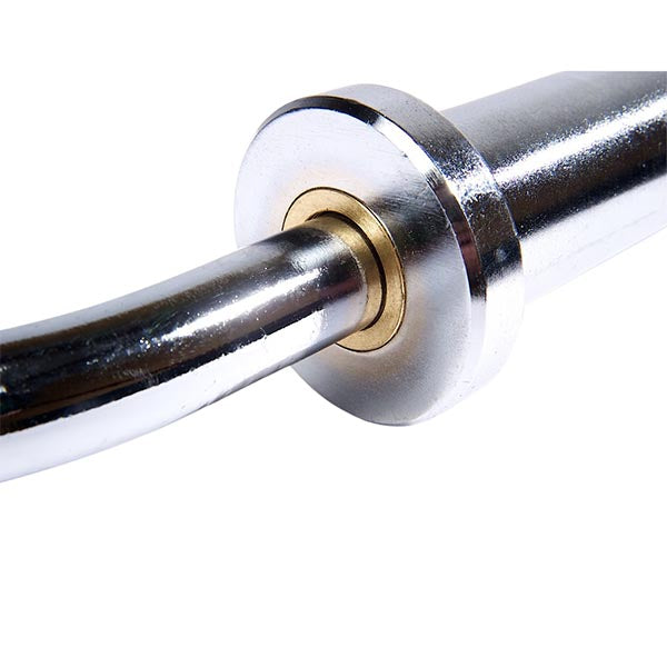 APEX Olympic EZ Curl Bar