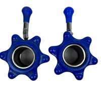 Used Werksan Training Bar Lock 2.5kg (Pair)