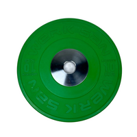 Werksan Coloured Lionfit Training Disc(Pair)
