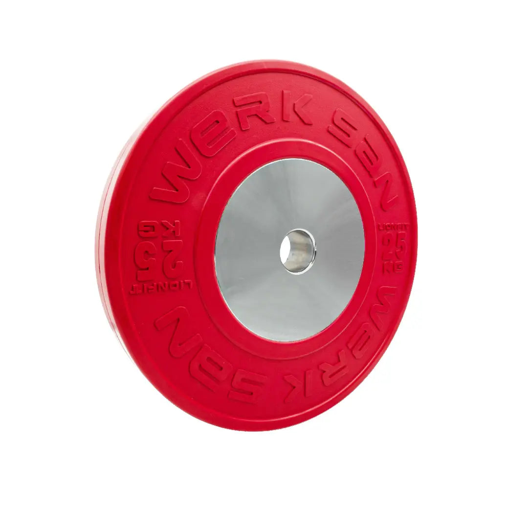 Werksan Coloured Lionfit Training Disc(Pair)